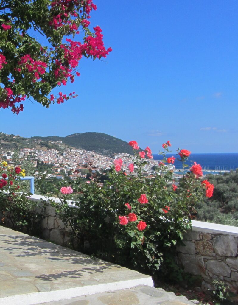 Skopelos Blick mit Oleander